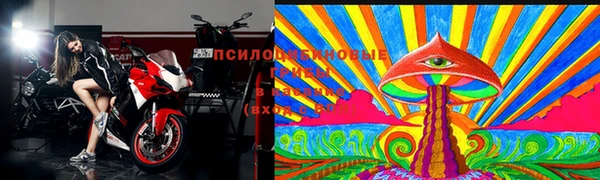 молекула духа Аркадак