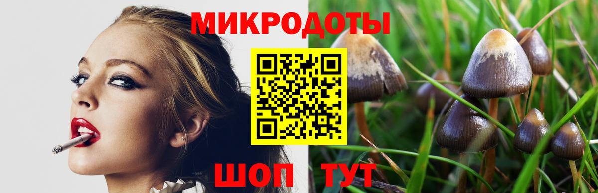 Галлюциногенные грибы Psilocybine cubensis Нижний Тагил